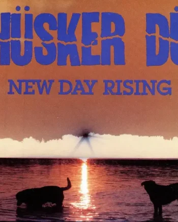 Hüsker Dü - New Day Rising
