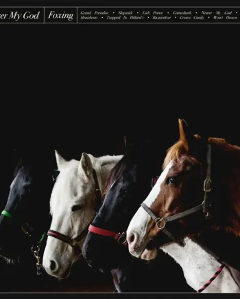 FOXING - NEARER MY GOD VINYL (LTD. ED. COKE BOTTLE CLEAR 2LP GATEFOLD)