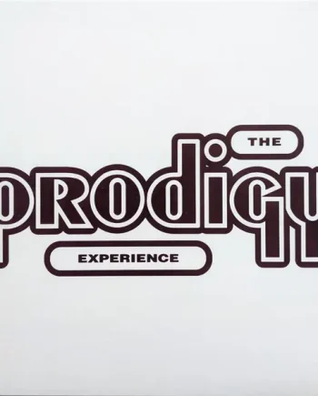 Prodigy, The - Experience - All City Records
